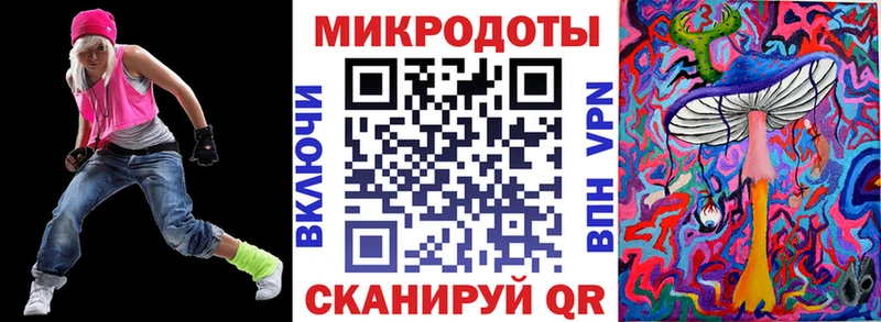 Псилоцибиновые грибы Psilocybe  Новосокольники 
